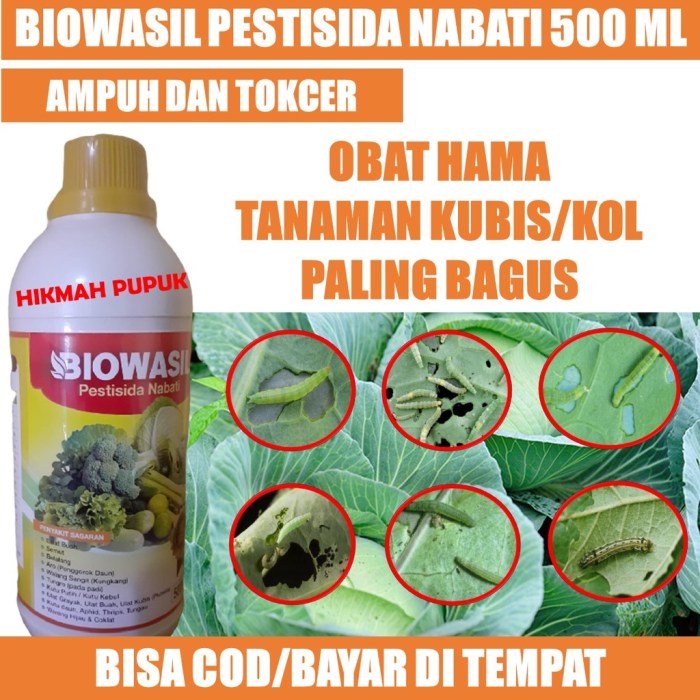 Mengatasi hama ulat pemakan daun