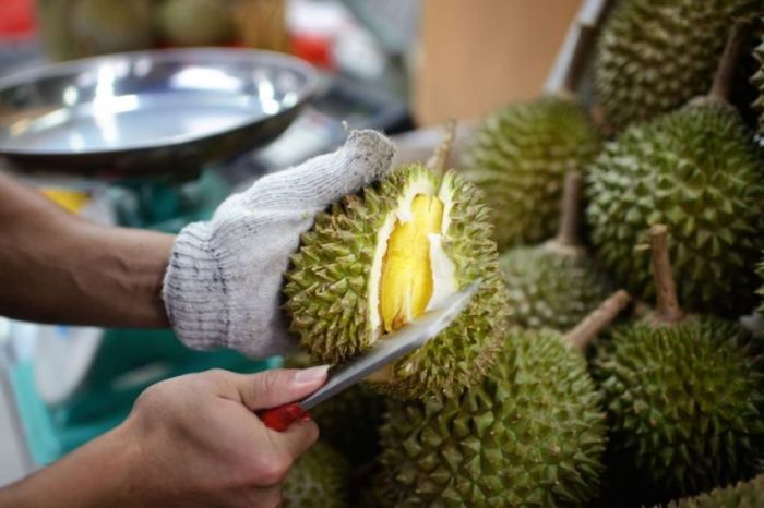 Mencari pasar durian lokal dan internasional untuk meningkatkan keuntungan