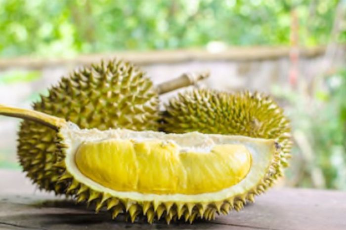 Manfaat durian untuk kesehatan dan khasiatnya bagi tubuh