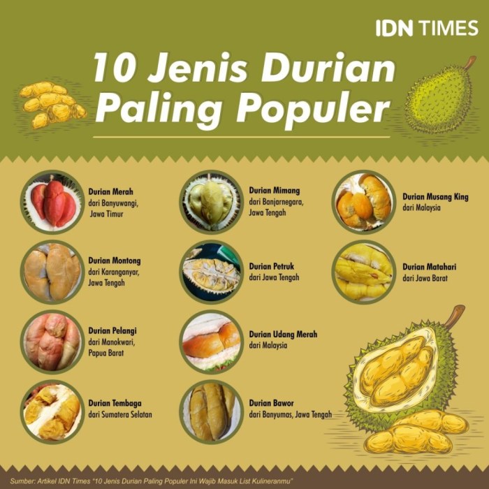 Mengenal jenis-jenis durian populer di Indonesia dan ciri khasnya