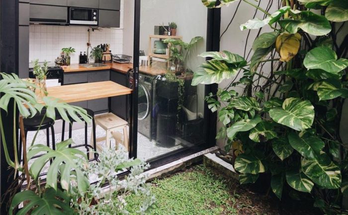 Membuat taman mini di dapur