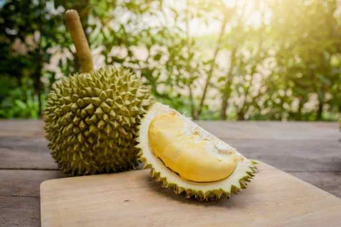 Durian