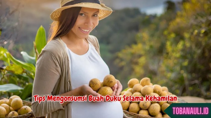 Khasiat Buah Duku untuk Ibu Hamil: Sehat dan Bergizi