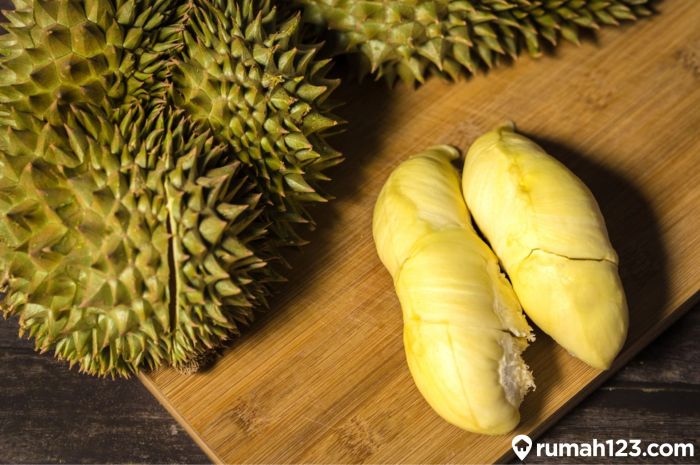 Manfaat durian untuk kesehatan dan khasiatnya bagi tubuh