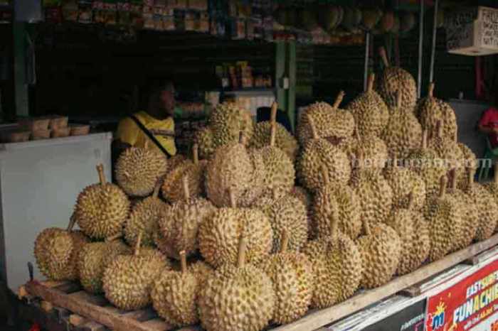 Mencari pasar durian lokal dan internasional untuk meningkatkan keuntungan