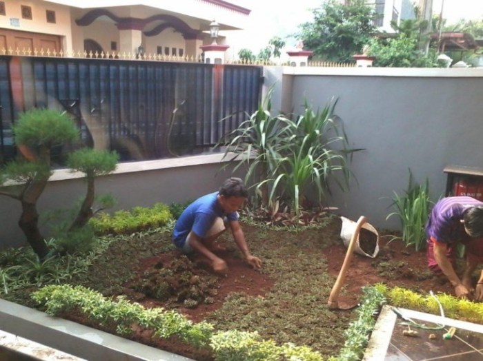 Membuat taman mini di pot