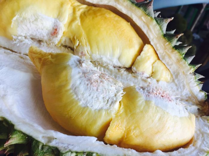 Tips Memilih Durian Matang Manis dan Legit